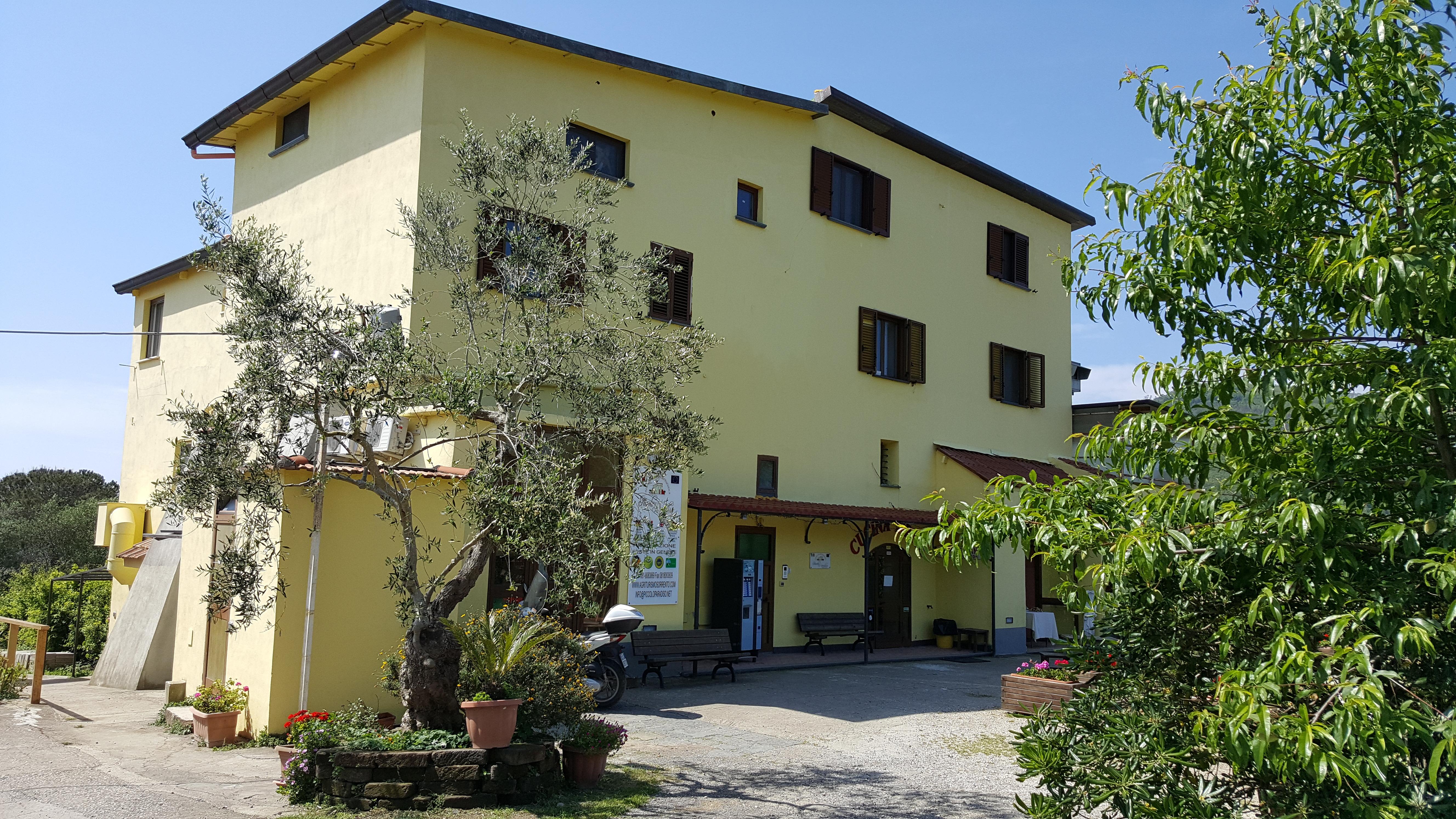 Agriturismo Piccolo Paradiso Пиано ди Соренто Екстериор снимка