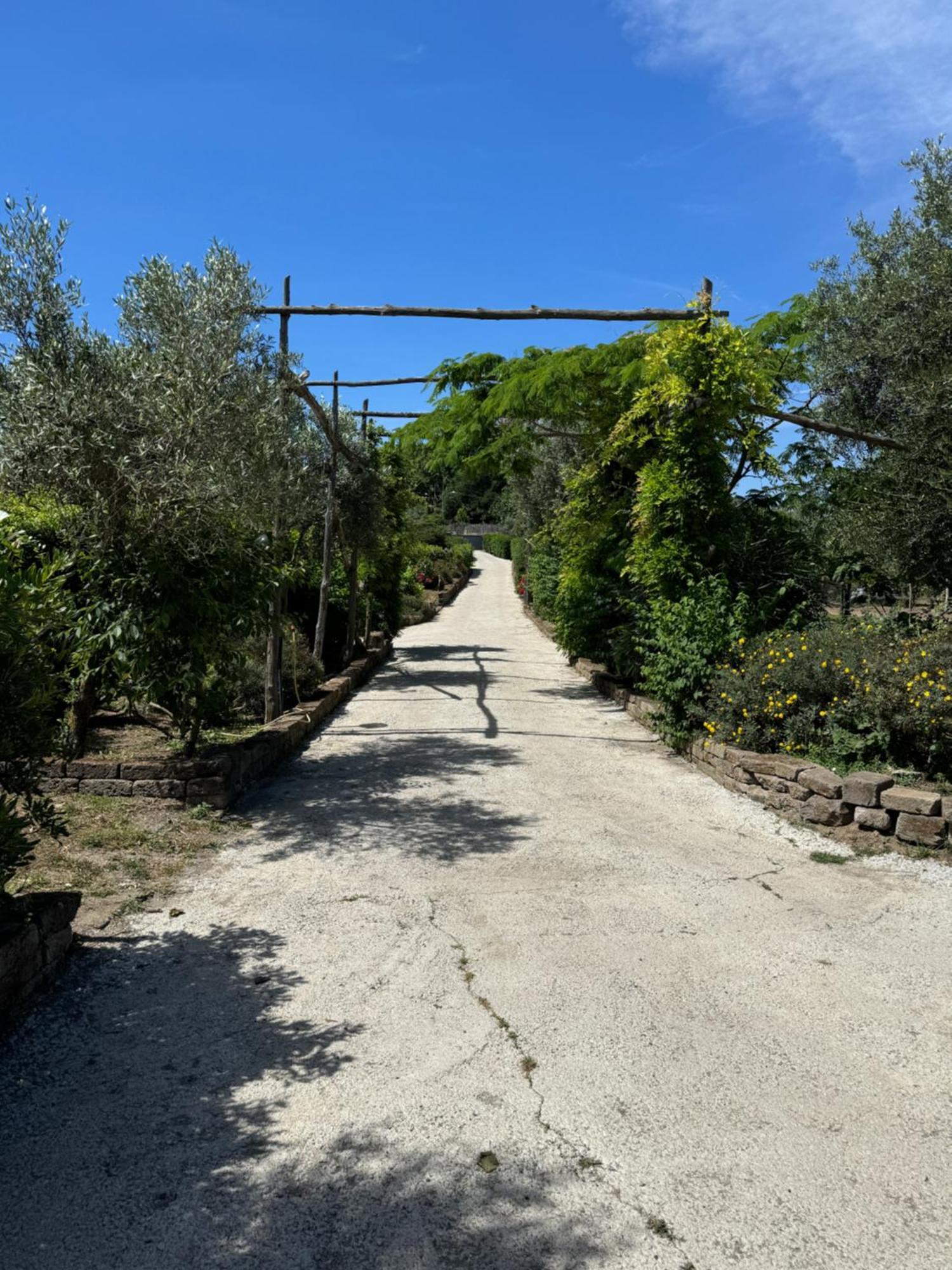 Agriturismo Piccolo Paradiso Пиано ди Соренто Екстериор снимка