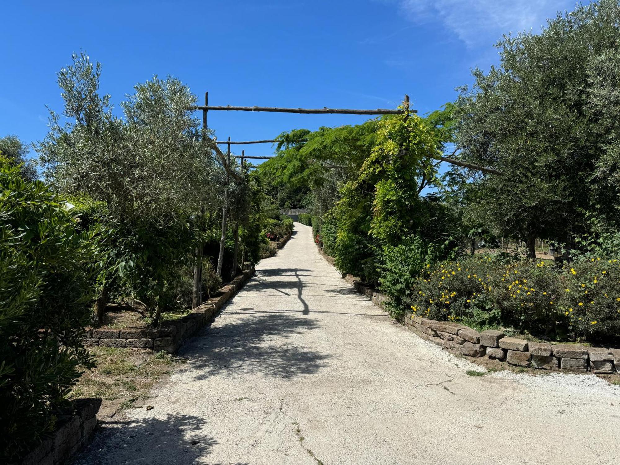 Agriturismo Piccolo Paradiso Пиано ди Соренто Екстериор снимка