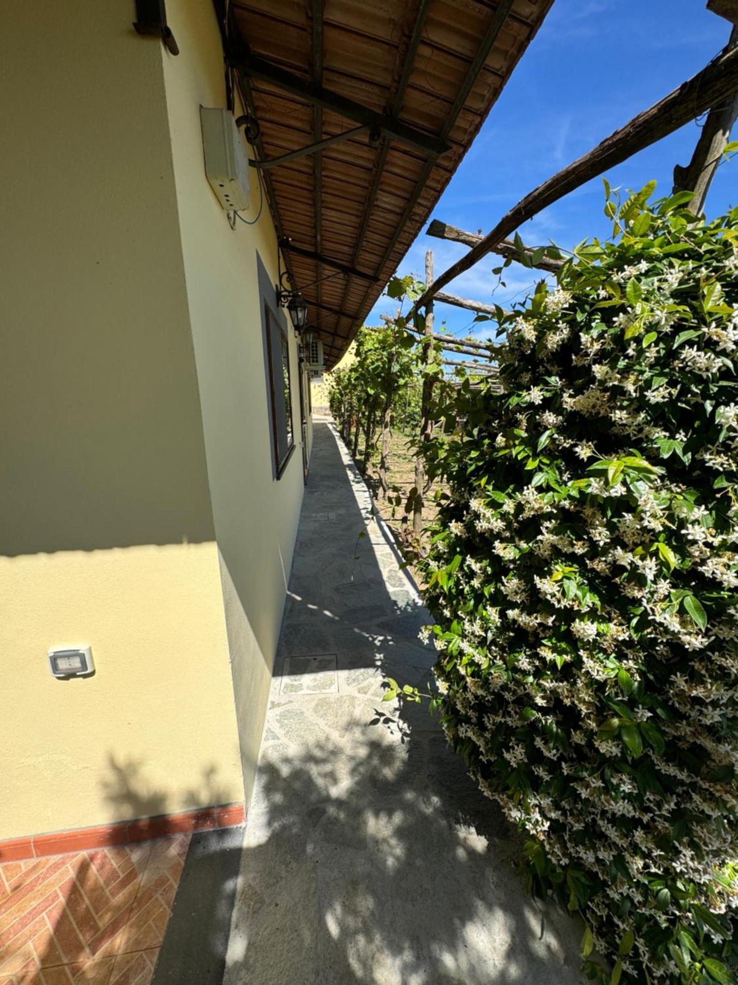 Agriturismo Piccolo Paradiso Пиано ди Соренто Екстериор снимка