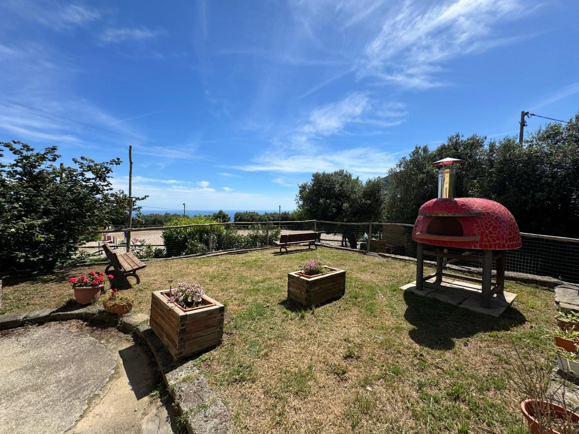 Agriturismo Piccolo Paradiso Пиано ди Соренто Екстериор снимка
