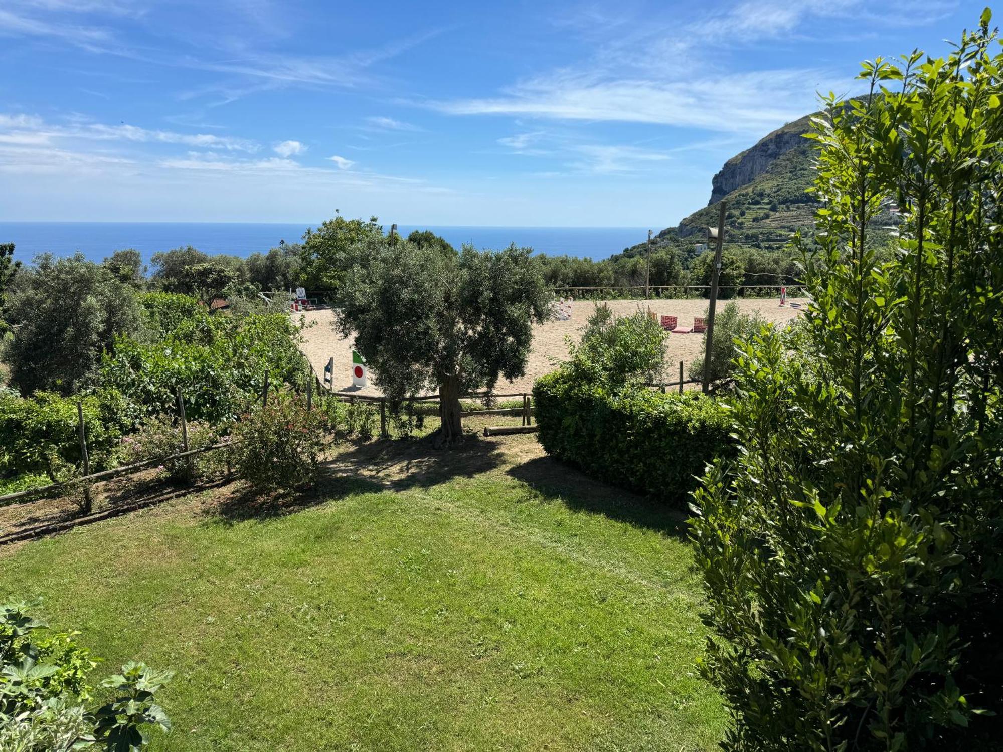 Agriturismo Piccolo Paradiso Пиано ди Соренто Екстериор снимка