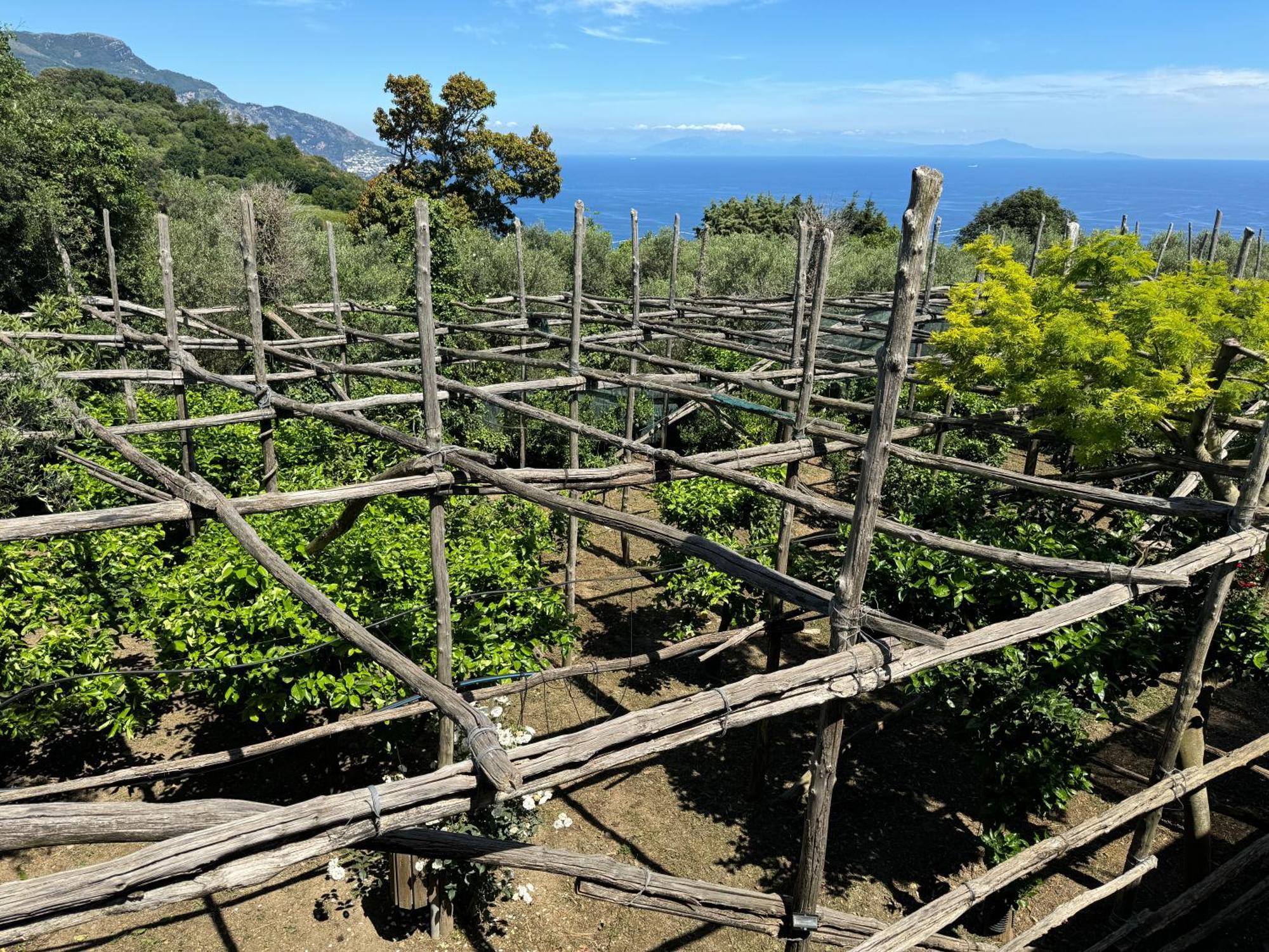Agriturismo Piccolo Paradiso Пиано ди Соренто Екстериор снимка