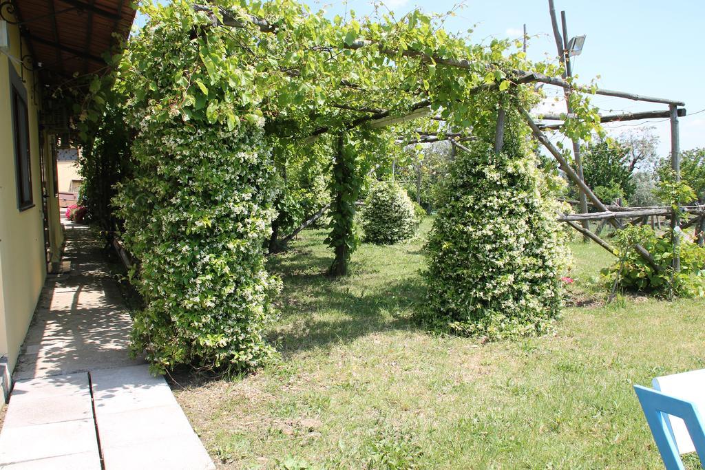 Agriturismo Piccolo Paradiso Пиано ди Соренто Екстериор снимка