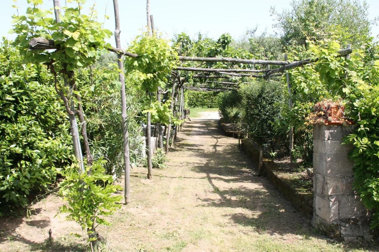 Agriturismo Piccolo Paradiso Пиано ди Соренто Екстериор снимка
