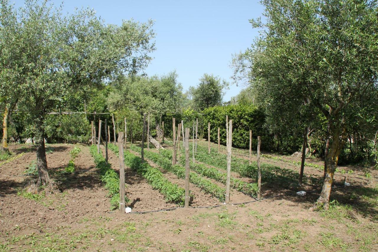 Agriturismo Piccolo Paradiso Пиано ди Соренто Екстериор снимка