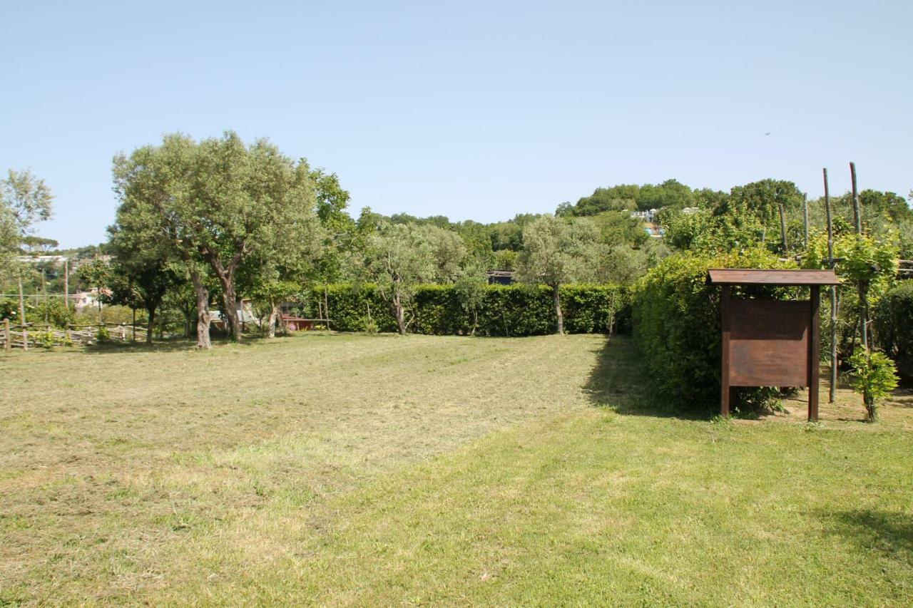 Agriturismo Piccolo Paradiso Пиано ди Соренто Екстериор снимка
